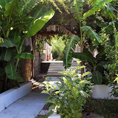 Milos Garden דירה אדאמאס