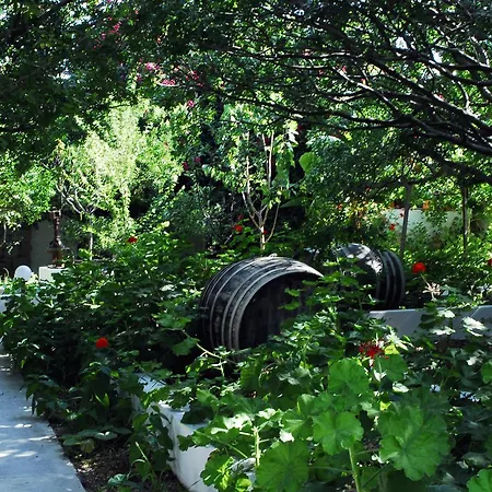 Milos Garden דירה אדאמאס